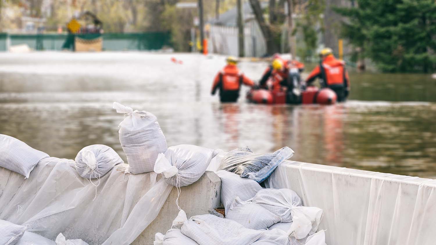 Hochwasser und Autos – Welche Versicherung zahlt? Junger Mann sitzt telefonierend vor einem Laptop.